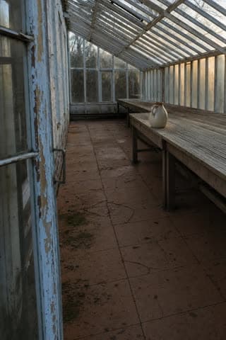 Issiqxonaga qoʻyilgan sopol koʻza